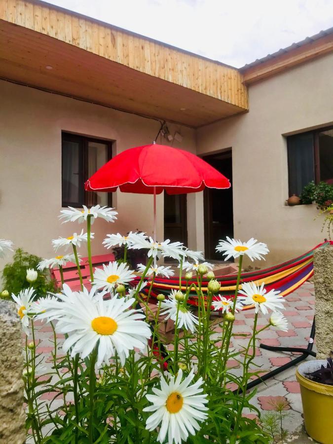Guesthouse And Cottage Nicolo Kazbegi Dış mekan fotoğraf